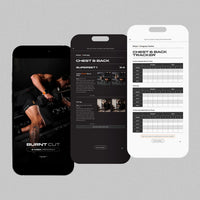 Burnt Cut | 8 Week Men's Gym Program